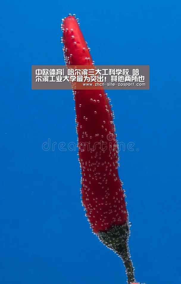 中欧体育|
哈尔滨三大工科学校 哈尔滨工业大学最为突出!其他两所也不错!(图1) 中欧体育平台