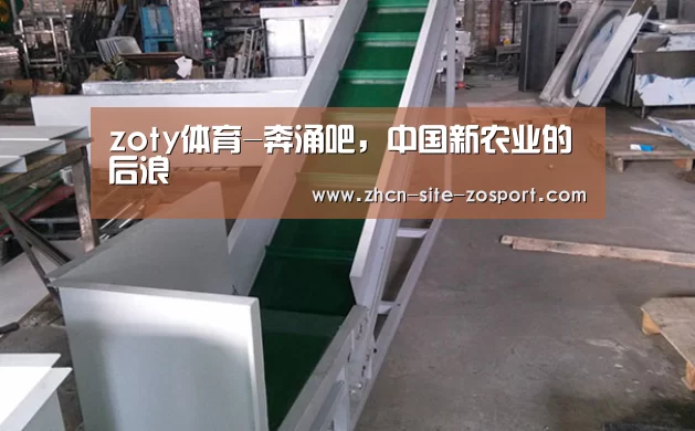 中欧体育