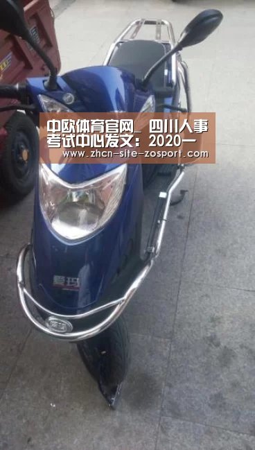 中欧体育