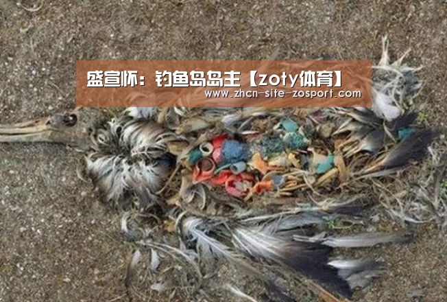 中欧体育官网